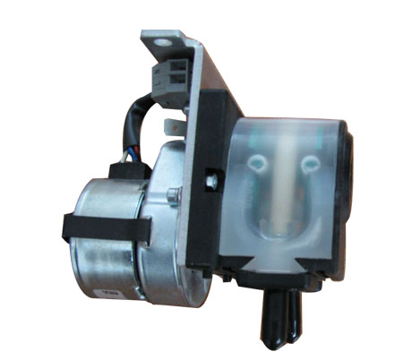 ����˹�䶯��