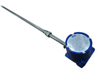 ��ʽ������